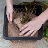 OASE Aquatic Plant Basket 