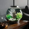 biOrb Classic 15 Aquarium with Multicolor Remote Control-2