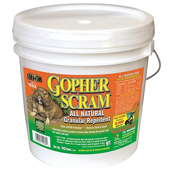 Gopher Scram